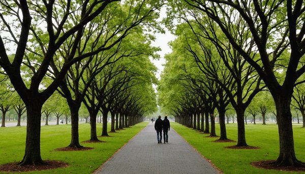 Élagage bayonne : confiez vos arbres à des professionnels